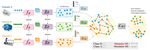 Conditional Contrastive Domain Generalization for Fault Diagnosis